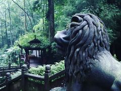 -青城山