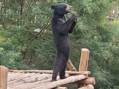 -济南野生动物世界