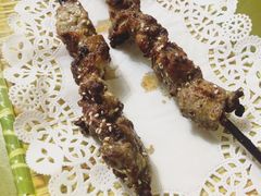 红柳烤串-新疆红柳花餐厅(新洲店)