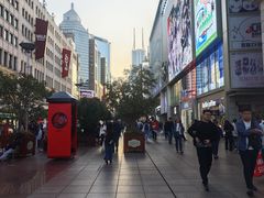 -沈大成(南京东路店)