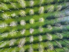 -泗洪洪泽湖湿地景区