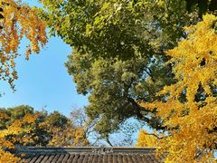 -惠山古镇·寄畅园