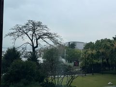 -希尔顿南海酒店·观廊大堂吧·海景下午茶