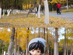 -长白岛森林公园