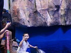 -西安华夏文旅水世界