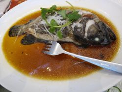 -上海虹桥锦江大酒店·宴会厅