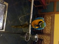 android_upload_pic-那家小馆•北京菜•烤鸭(中关村店)