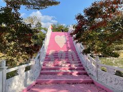 -田野绿世界