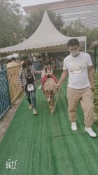 -萌宠亲子动物乐园(槐房万达店)