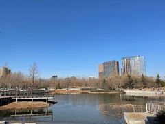 -大望京公园