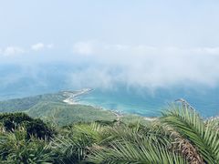 -海南铜鼓岭景区