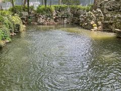 -绮园景区