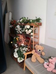 -米莱摄影写真(五大道别墅店)