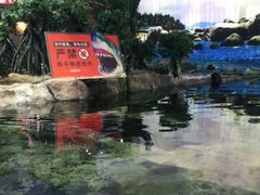 -鸿通城购物中心