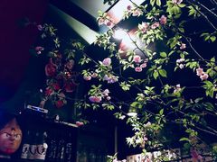 景观位-九州酒场ひこぞう(1号店)