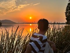 -东湖落雁景区