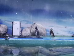 -重庆欢乐海底世界