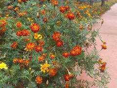 -沕沕水生态风景区