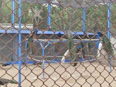 -森林公园(尖草坪区)