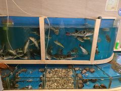 -天正河鲀·河豚亭(大连店)