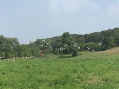 -沈阳森林动物园