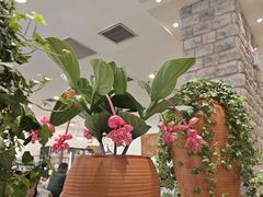 -第六季自助餐厅(北太平庄店)