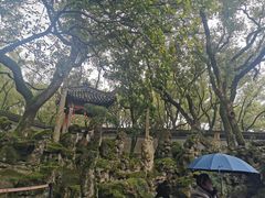 -天一阁博物院