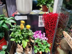 -FEI FEI FLOWER鲜花店·气球派对·宝宝宴布置(虹口德必运动Loft店)