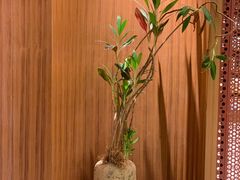 -二酉书店TOYOU BOOKS