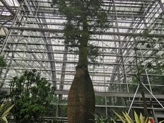 -南山植物园