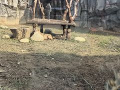 -武汉动物园
