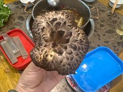 -乳仔牛牦牛汤锅 烤羊排(松潘古城店)