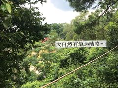 -芦仙山景区-飞越丛林探险乐园
