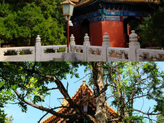 -孔庙和国子监博物馆