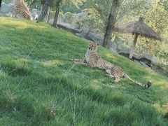 -北京野生动物园