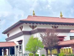 -林芝工布庄园希尔顿酒店-猎味中餐厅