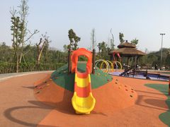 -枫香湖儿童公园