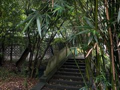 -柯岩风景区