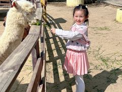 -盈香心动乐园