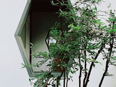 -秋霞圃