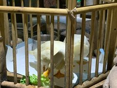 -馬蘭花開(车站大道店)