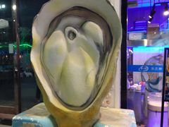 -千岛蚝高压锅生蚝·人参火锅(白云万达店)