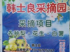 -韩士良采摘园