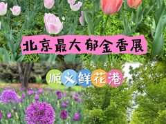 -北京国际鲜花港