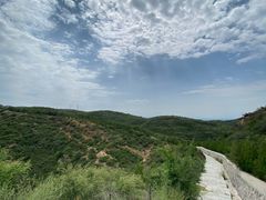 -五龙城郊森林公园