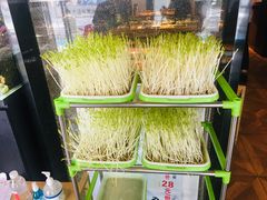 -牛品福潮汕牛肉火锅(旺庄店)