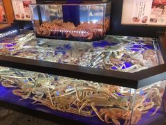 -蟹道乐(道顿堀本店)