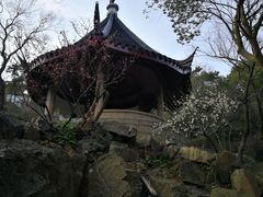 -香雪海