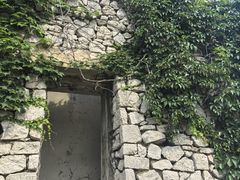 -原山国家森林公园