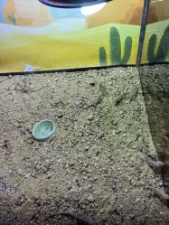 -酷嗒动物文化乐园(cutezoo西溪乐天城店)